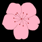 91浏览器APP应用
